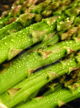 Royalty Free Photo of Asparagus With Water