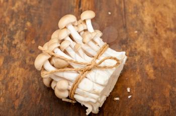 bunch of fresh wild mushrooms on a rustic wood table tied with a rope