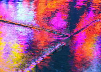Royalty Free Photo of a Colourful Reflection