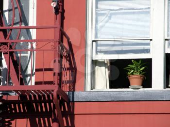 Royalty Free Photo of a Flower Pot in a Window