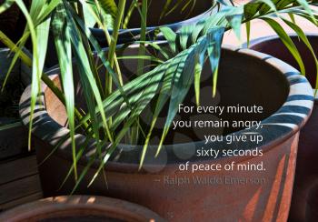 Royalty Free Photo of a Potted Plant And Emerson Quote