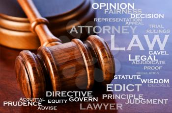 A wooden judge's gavel and words that describe the legal business.