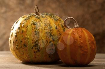 Royalty Free Photo of Gourds