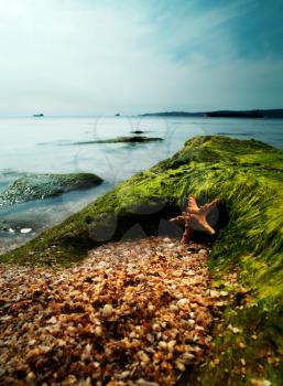 Royalty Free Photo of a Sea Landscape