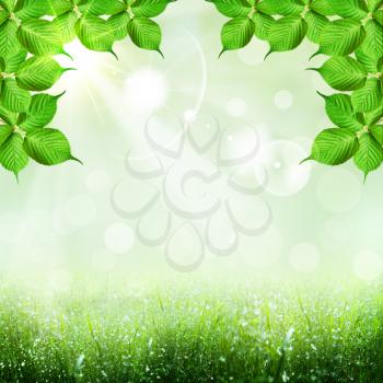 Abstract spring and summer backgrounds with foliage shape