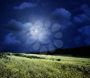 midnight on the meadow, abstract natural backgrounds