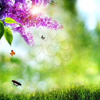 Summer natural backgrounds with lilacs,  butterfly and beautiful bokeh