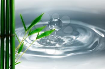 water droplets and bamboo. natural backgrounds
