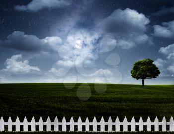 Nightly meadow. Natural summer backgrounds with alone tree on the hills under full moon