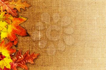 Fallen foliage over old hessian fabric, abstract autumn backgrounds
