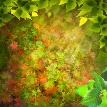 Magical forest. Abstract natural backgrounds for your design