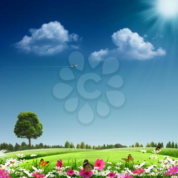 Summertime. Abstract eco backgrounds for your design