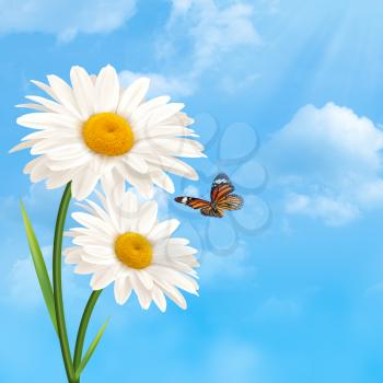 Under the blue skies. Abstract natural backgrounds with daisy flowers