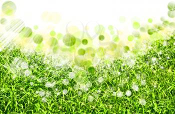 abstract spring backgrounds with defocused bokeh