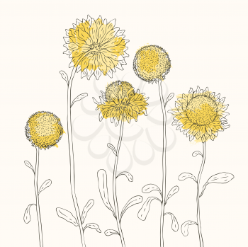 Royalty Free Clipart Image of Yellow Sunflowers