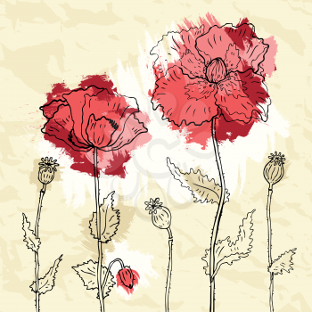 Red poppies on crumpled paper background. Vector illustration