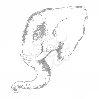 Head of elephant. Hand drawn ink illustration