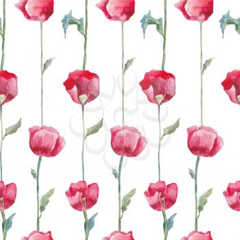 Red poppies on white background. Hand drawn Seamless watercolor floral pattern.