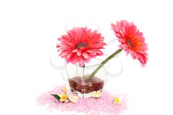 Royalty Free Photo of Flowers in a Vase