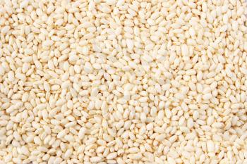Royalty Free Photo of Puffed Rice