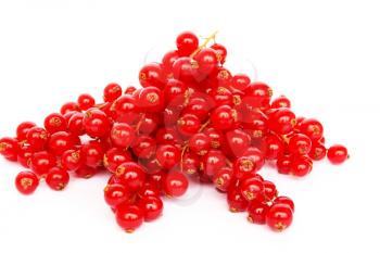 Royalty Free Photo of Red Currants