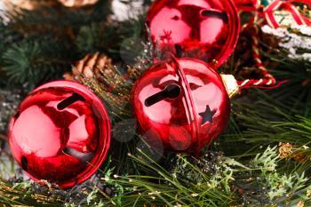 Christmas red balls with fir tree branch closeup image.