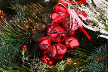 Christmas red decoration with fir tree branch.