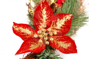 Holly berry flower and Christmas decoration isolated on white background.