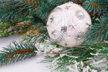 Christmas decoration with white ball and fir-tree branch.