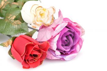 Colorful roses isolated on white background.