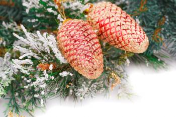 Christmas shiny cones, fir-tree branch on white background.