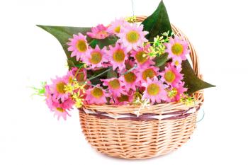 Pink fabric flowers in wicker basket isolated on white background.