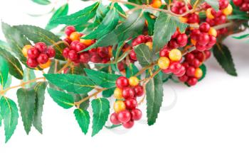Fabric plant with berries on white background.
