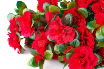 Red fabric flowers on white background.
