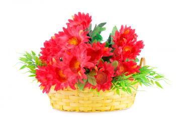 Red fabric flowers in wicker basket isolated on white background.