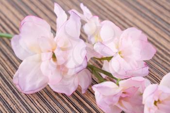 Pink artificial flowers on cloth background, closeup picture.