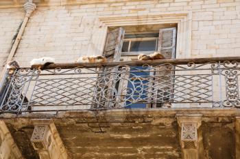 Old building with beautiful balcony and cats in Limassol, Cyprus.