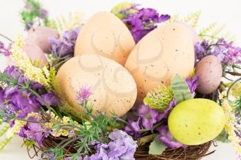 Easter colorful eggs in nest and flowers.