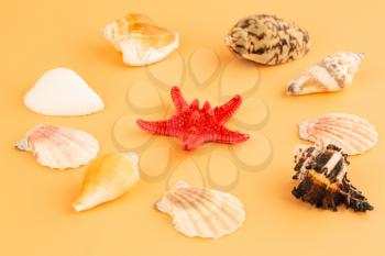 Starfish and shells isolated on yellow background.