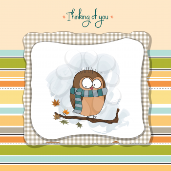 funny male bird with scarf, vector illustration