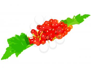 Red currant with leaf on white background. Vector