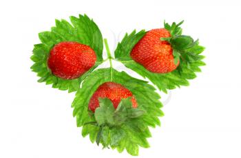 A heap of fresh strawberries on green foliage . Isolated