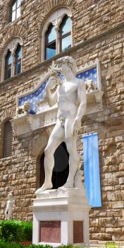 Michelangelo's replica David statue conversing with a pigeon. Florence, Italy