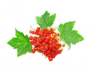 Red currant with leaf on white background. Isolated.