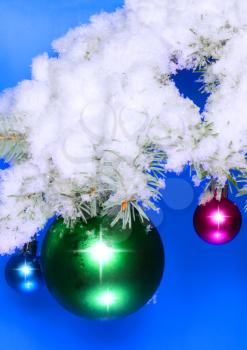 Christmas and New Year decoration- balls with real snow-covered fir branches .On blue background