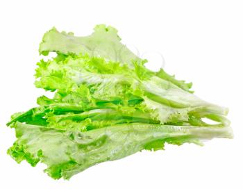 Leaf of lettuce on white background. Isolated over white