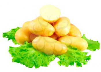 Young potatoes, decorating of lettuce . Isolated over white