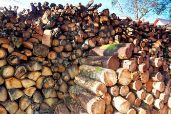 Firewood combined in a woodpile.