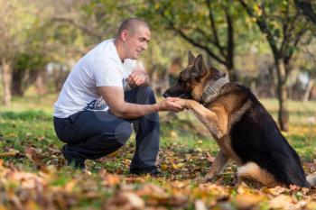 Man And His Dog German Shepherd