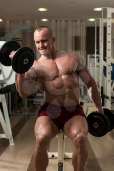 Bodybuilder Working Out Biceps In A Health Club